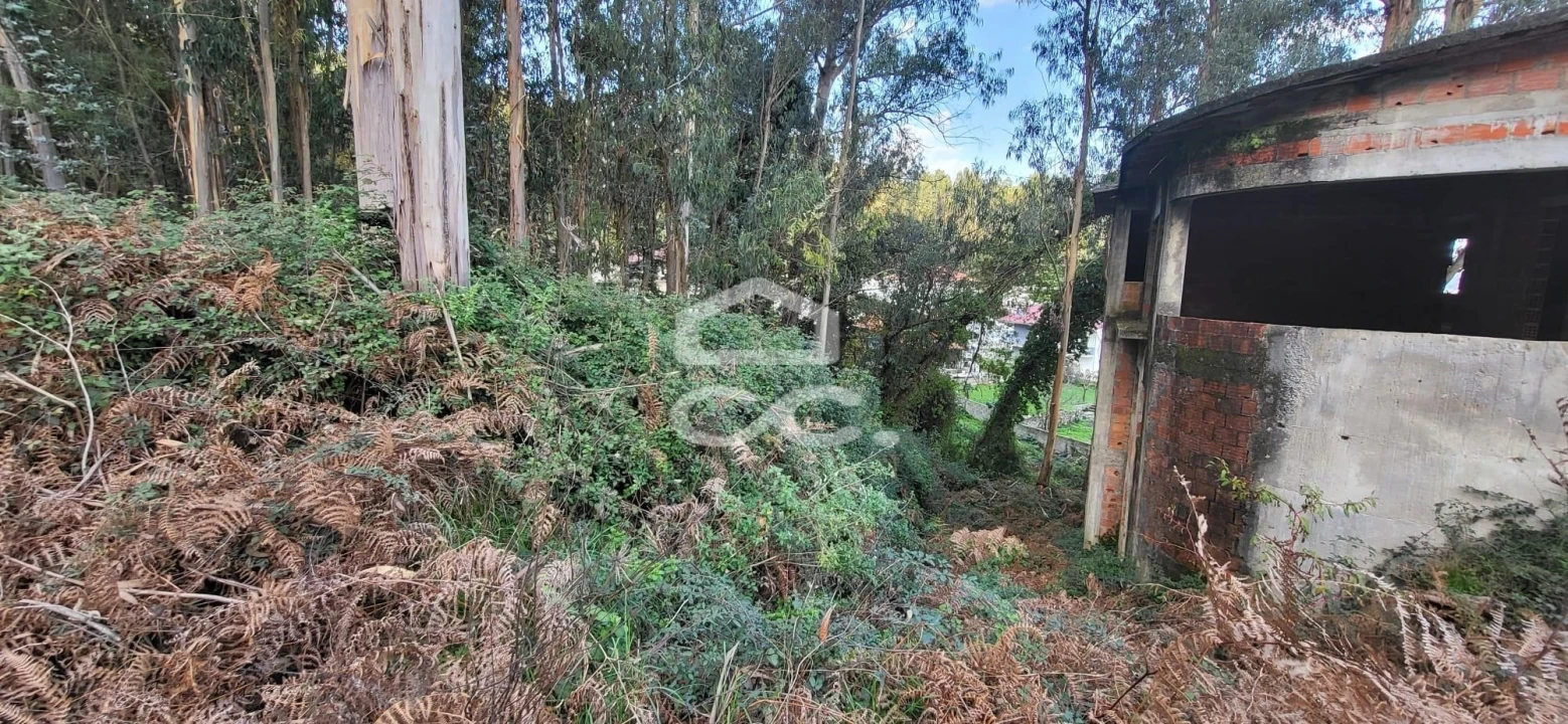 Terreno para Venda em Pousada de Saramagos Foto 2