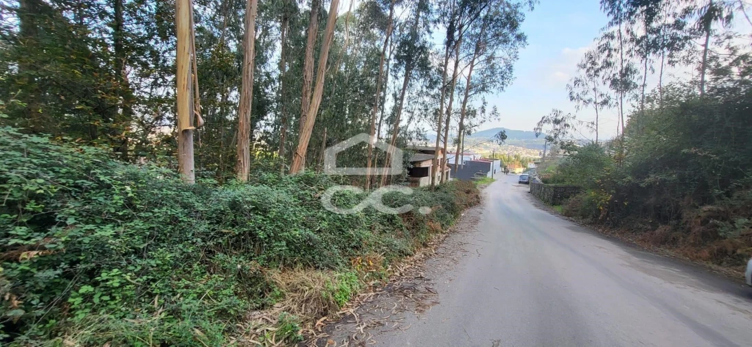 Terreno para Venda em Pousada de Saramagos Foto 6