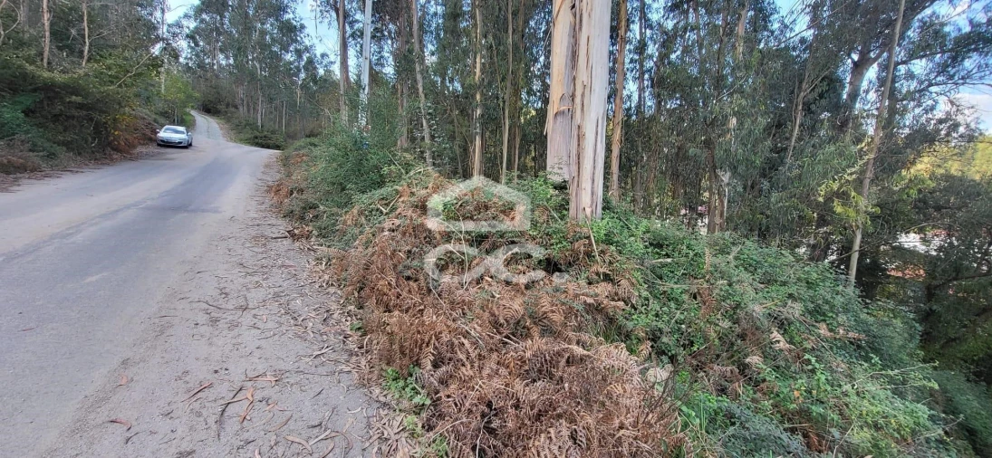 Terreno para Venda em Pousada de Saramagos Foto 3