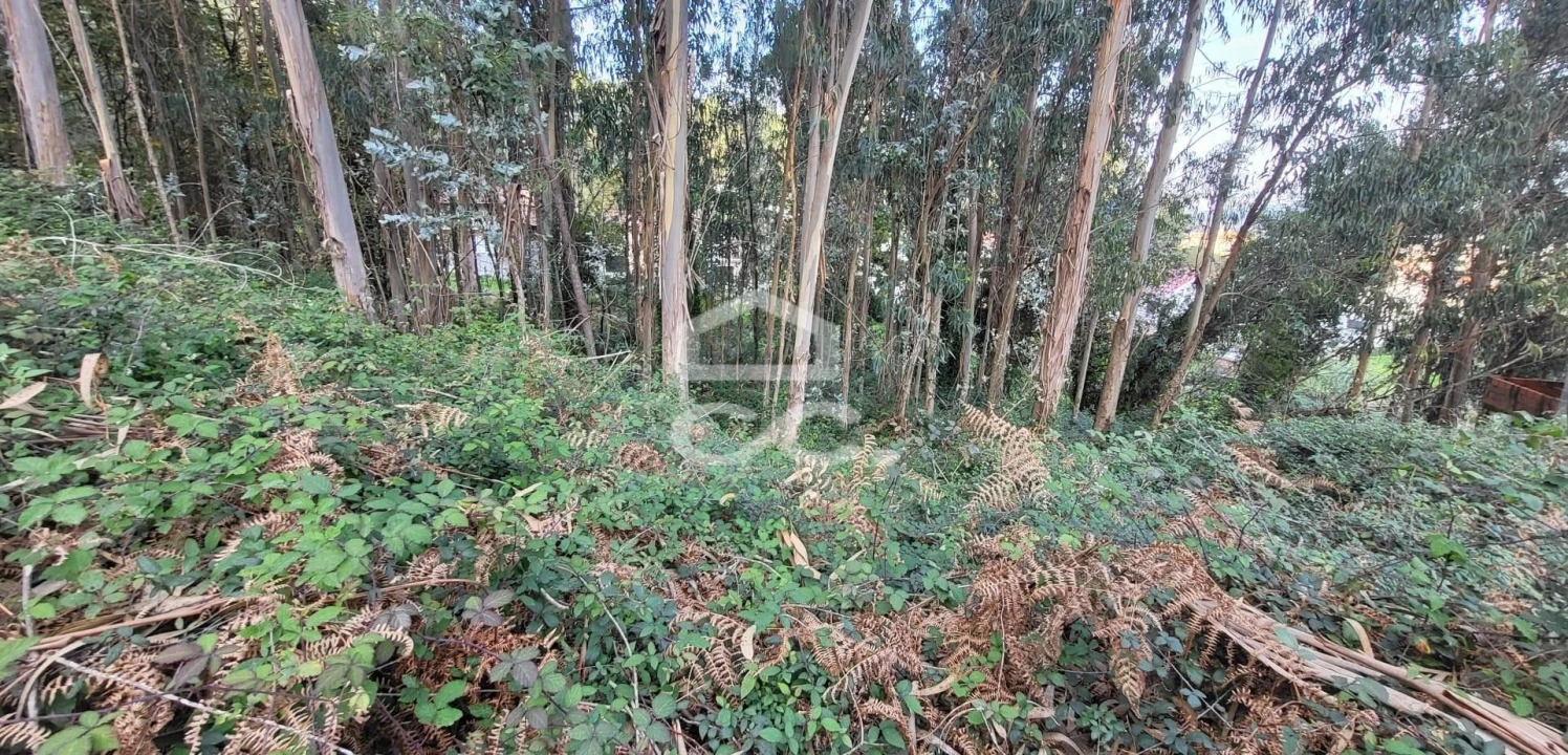 Terreno para Venda em Pousada de Saramagos Foto 4