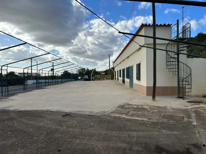 Negócio para Venda em Loule (São Sebastião) Foto 64