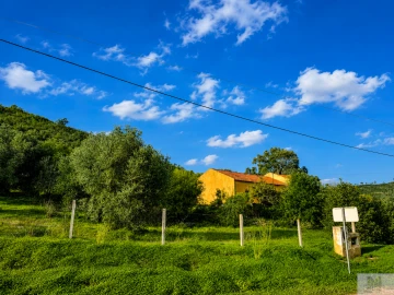 Quinta T4 para Venda em Silves