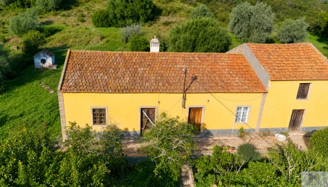 Quinta T4 para Venda em Silves