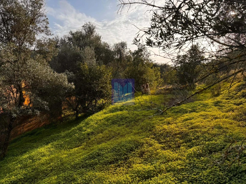 Quinta T4 para Venda em São Silvestre Foto 28