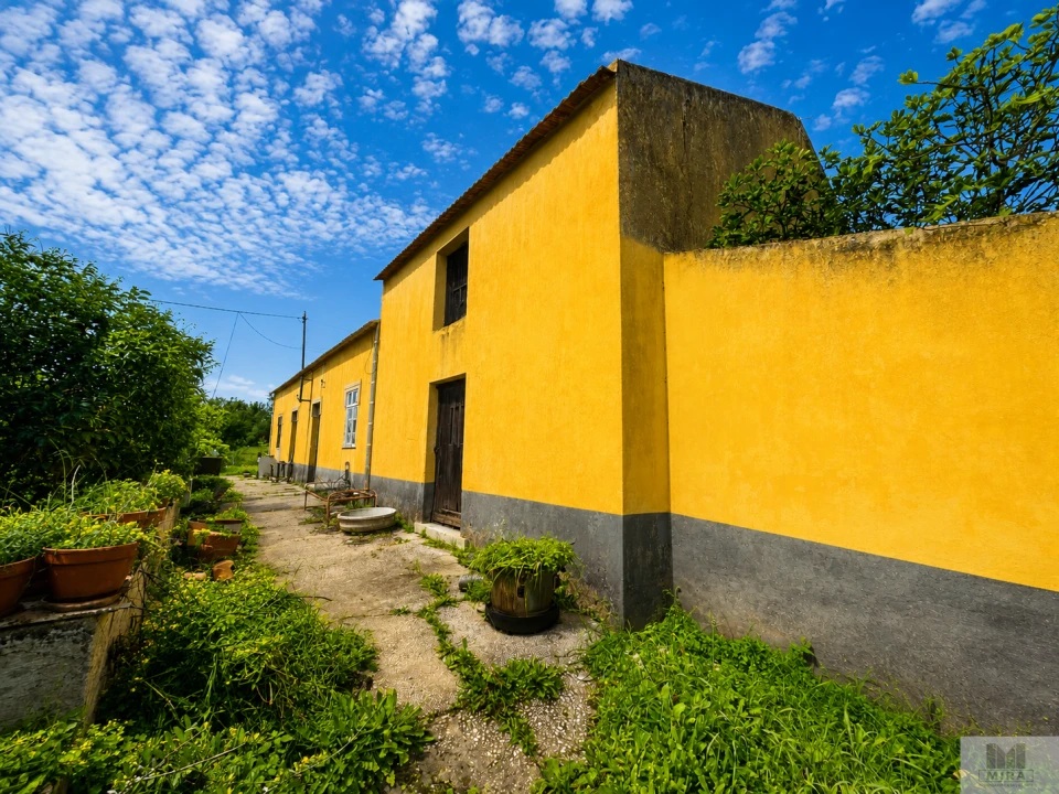 Quinta T4 para Venda em Silves Foto 4