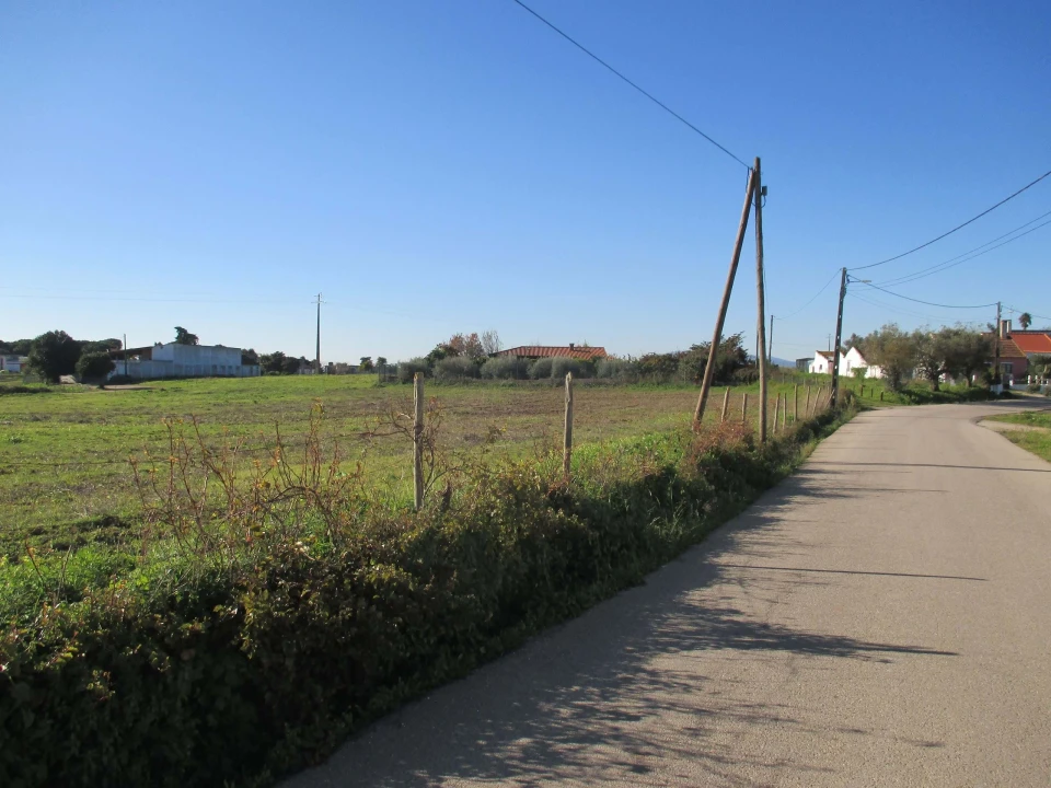 Terreno para Venda em Marmeleira e Assentiz Foto 12