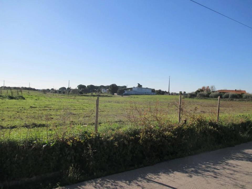 Terreno para Venda em Marmeleira e Assentiz Foto 7