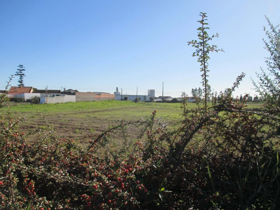 Terreno para Venda em Marmeleira e Assentiz Foto 24