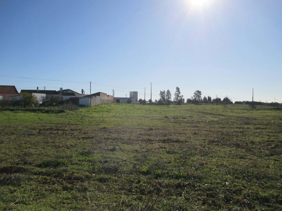 Terreno para Venda em Marmeleira e Assentiz Foto 18