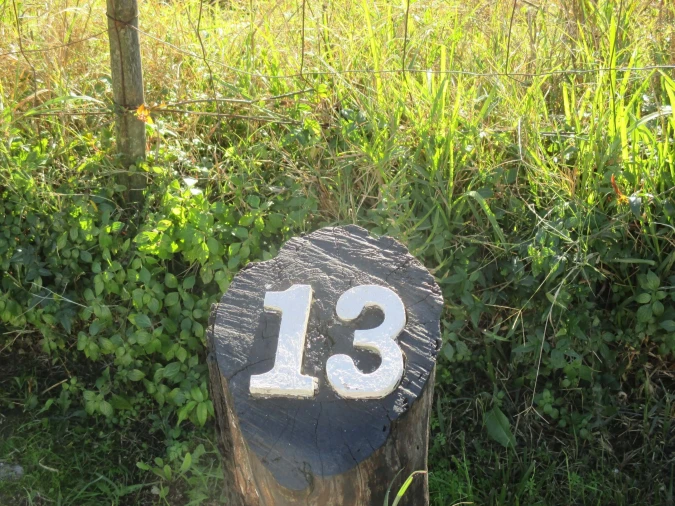 Terreno para Venda em Marmeleira e Assentiz Foto 22