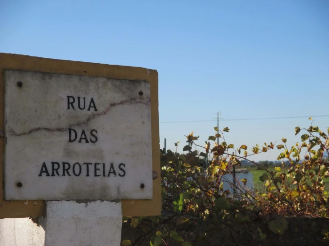 Terreno para Venda em Marmeleira e Assentiz Foto 14