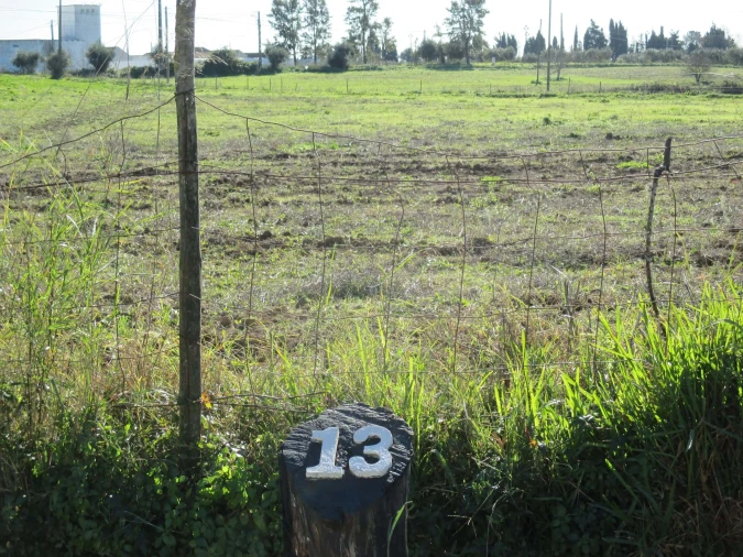 Terreno para Venda em Marmeleira e Assentiz Foto 23