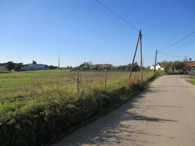 Terreno para Venda em Marmeleira e Assentiz Foto 12