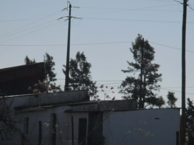 Terreno para Venda em Marmeleira e Assentiz Foto 10