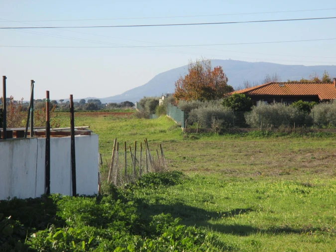 Terreno para Venda em Marmeleira e Assentiz Foto 17