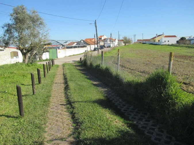 Terreno para Venda em Marmeleira e Assentiz Foto 25