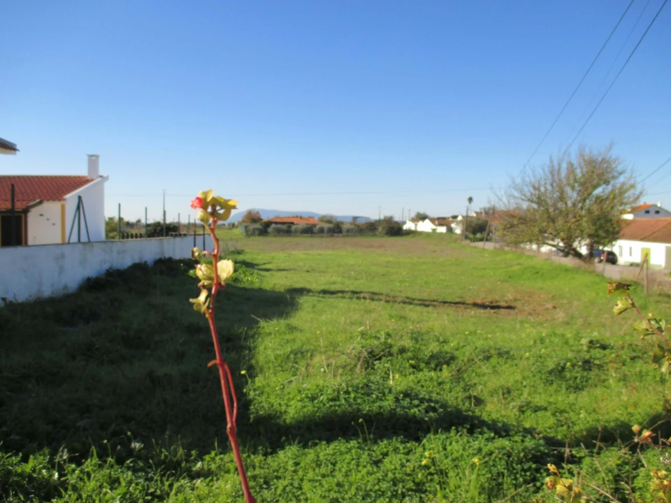 Terreno para Venda em Marmeleira e Assentiz Foto 6