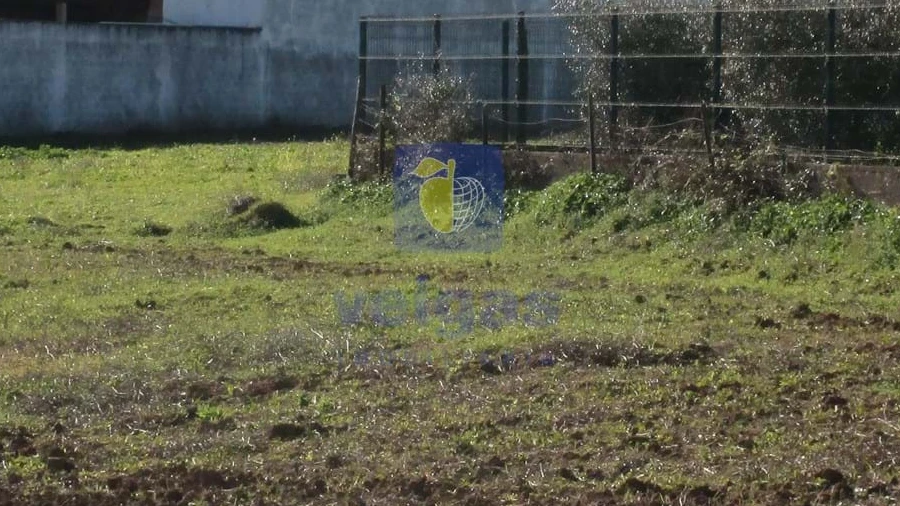 Terreno para Venda em Marmeleira e Assentiz