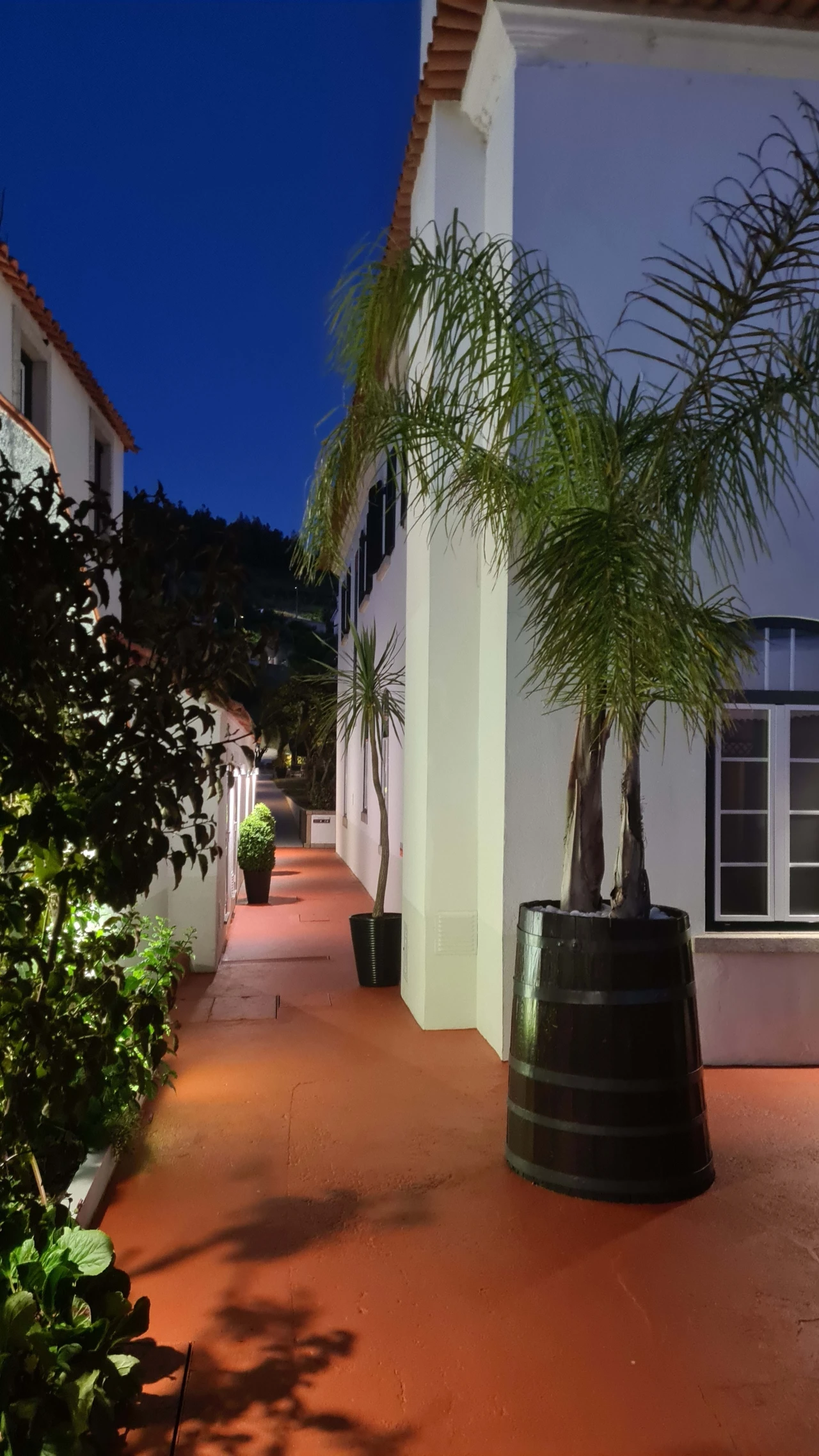 Quinta para Venda em Cerdeira e Moura da Serra Foto 118