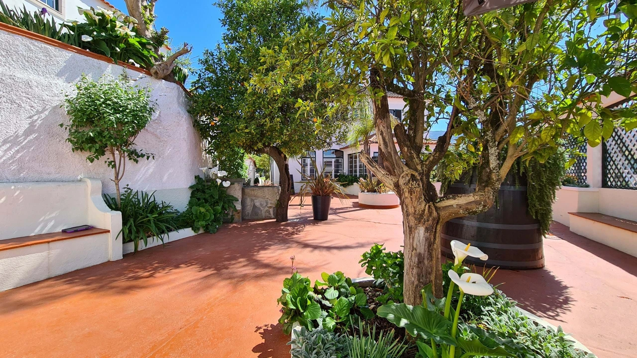 Quinta para Venda em Cerdeira e Moura da Serra Foto 84