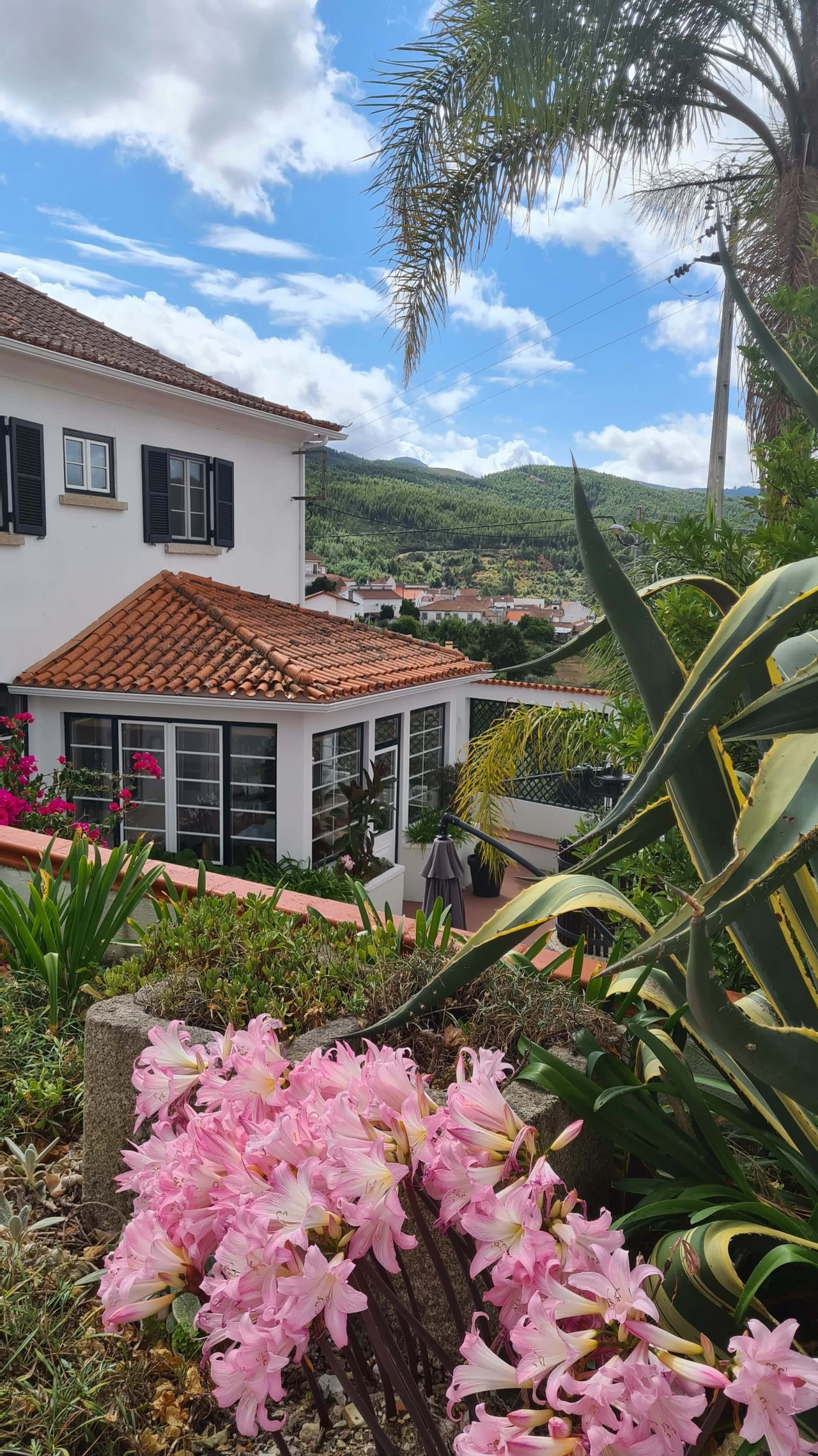 Quinta para Venda em Cerdeira e Moura da Serra Foto 92