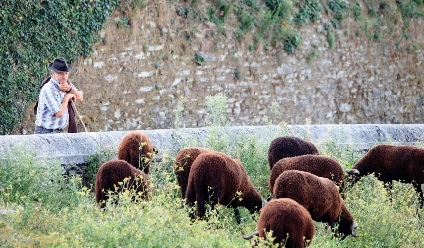 Quinta para Venda em Cerdeira e Moura da Serra Foto 112