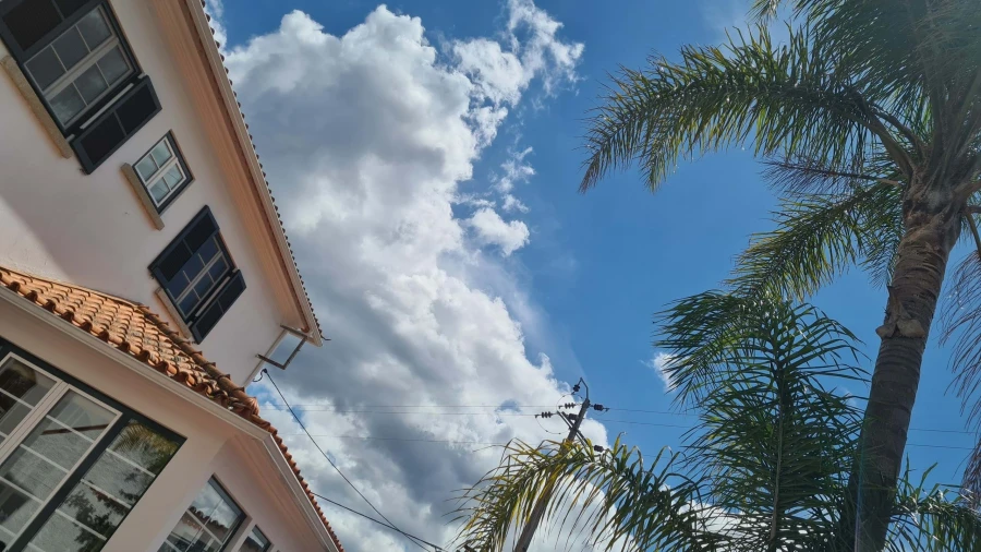 Quinta para Venda em Cerdeira e Moura da Serra Foto 82