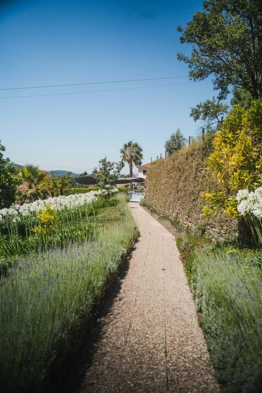 Quinta para Venda em Cerdeira e Moura da Serra Foto 128