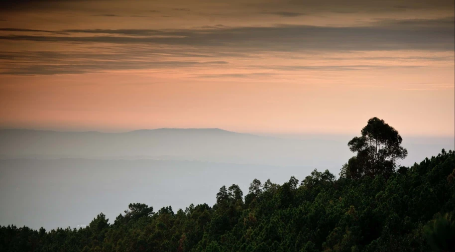 Quinta para Venda em Cerdeira e Moura da Serra Foto 108