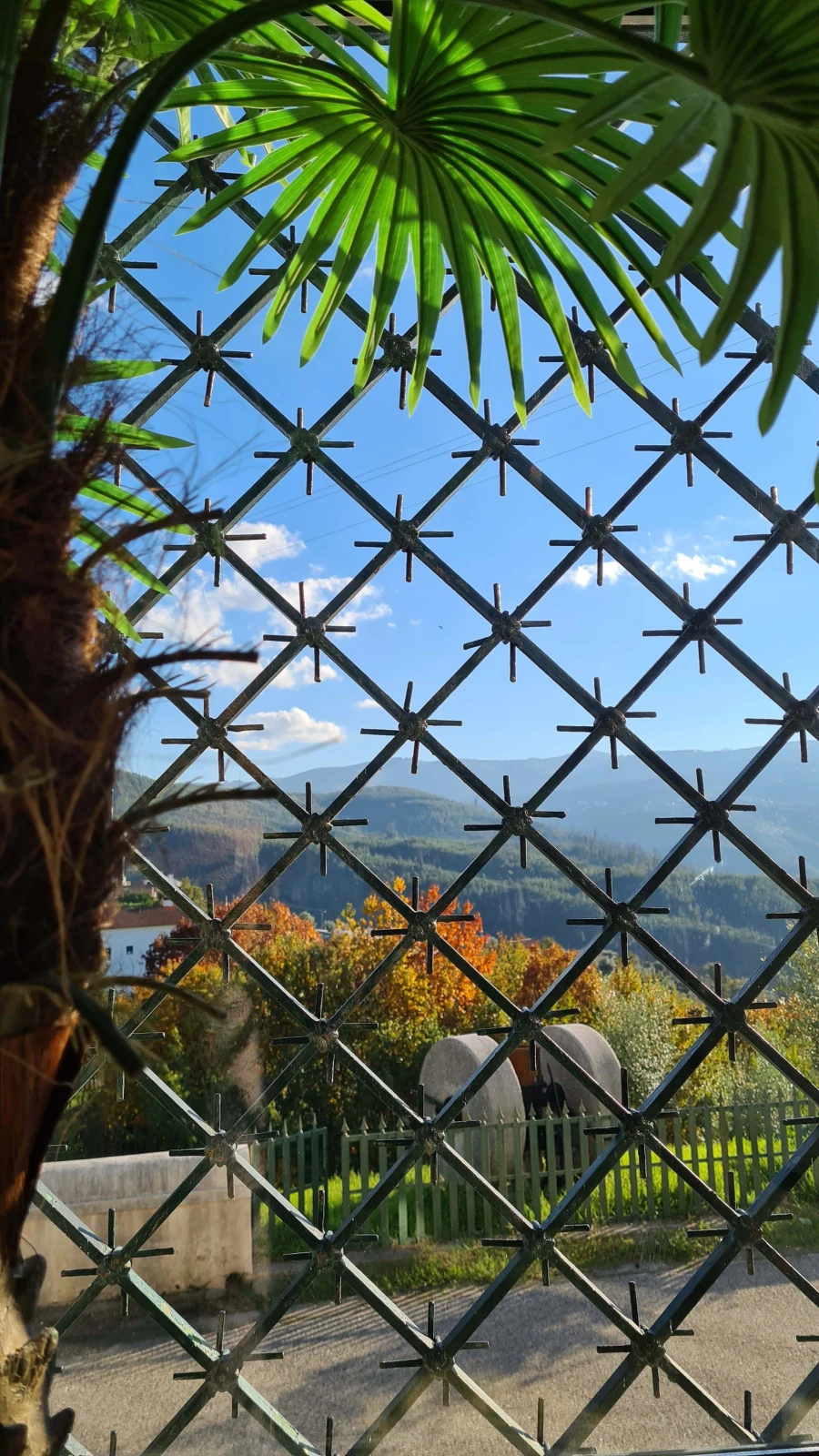 Quinta para Venda em Cerdeira e Moura da Serra Foto 94