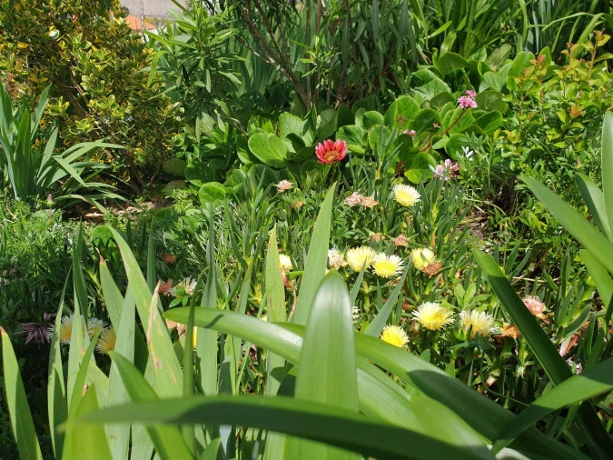 Quinta para Venda em Cerdeira e Moura da Serra Foto 80