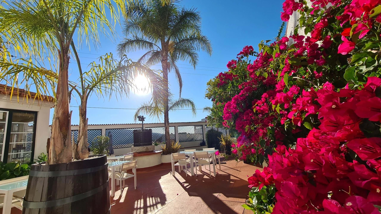 Quinta para Venda em Cerdeira e Moura da Serra Foto 86