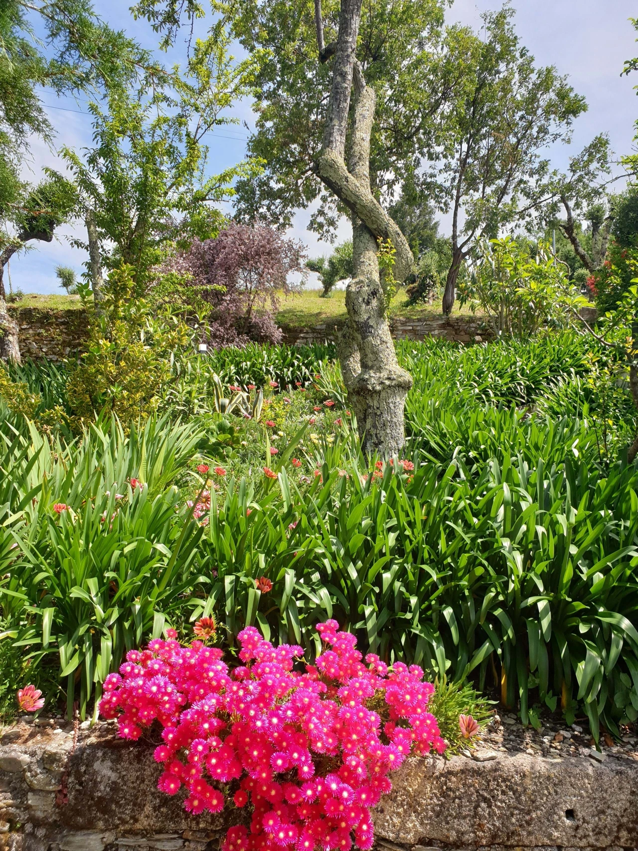 Quinta para Venda em Cerdeira e Moura da Serra Foto 97
