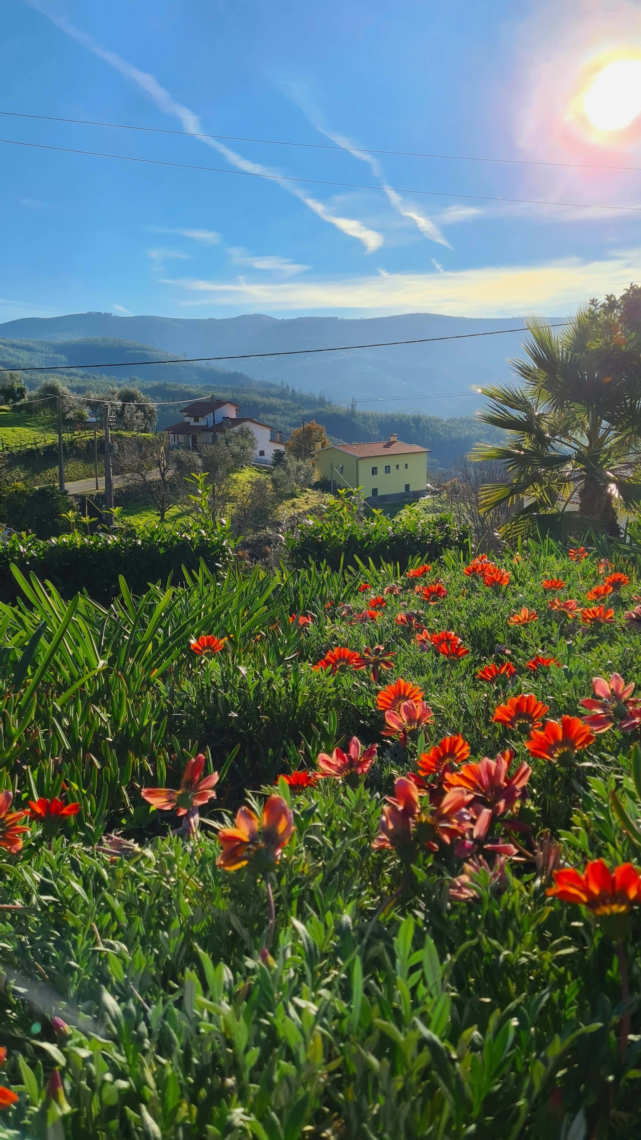 Quinta para Venda em Cerdeira e Moura da Serra Foto 100
