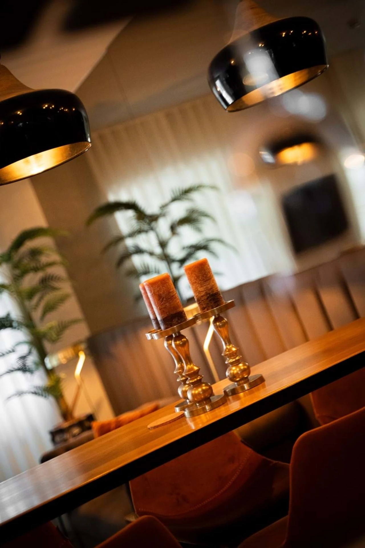 Quinta para Venda em Cerdeira e Moura da Serra Foto 68