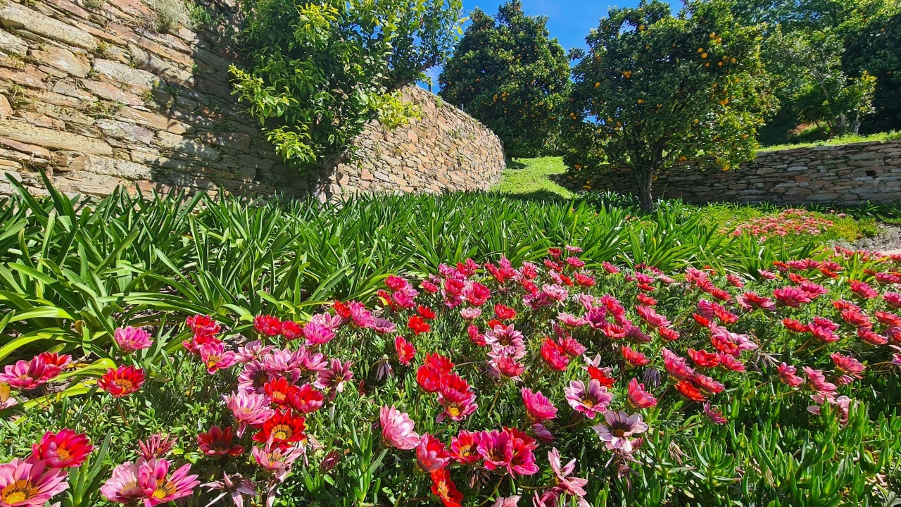 Quinta para Venda em Cerdeira e Moura da Serra Foto 101