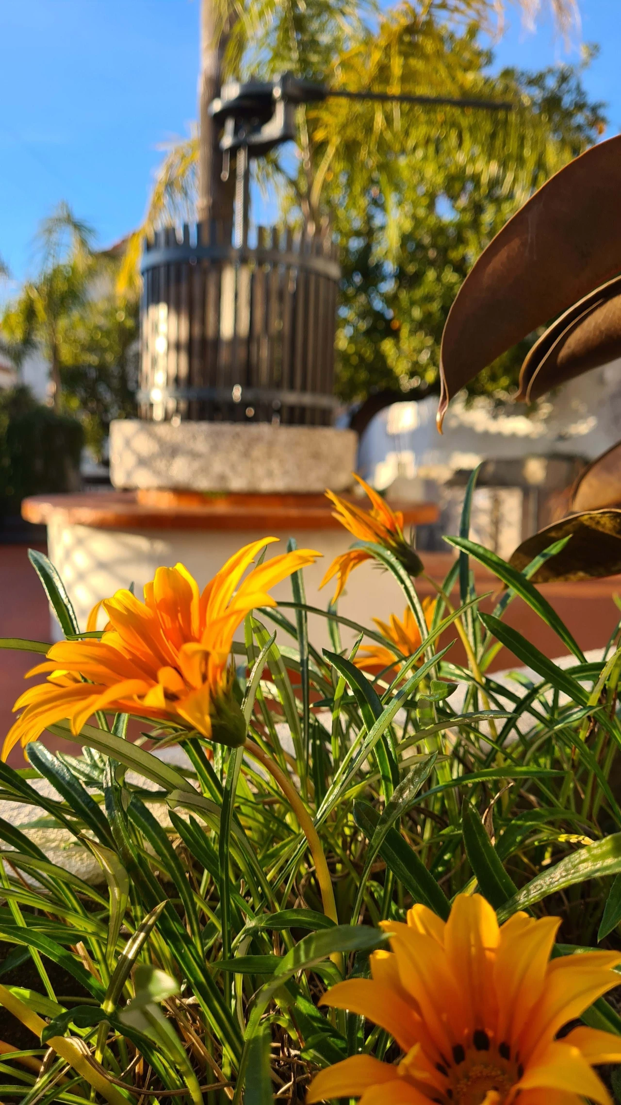 Quinta para Venda em Cerdeira e Moura da Serra Foto 83