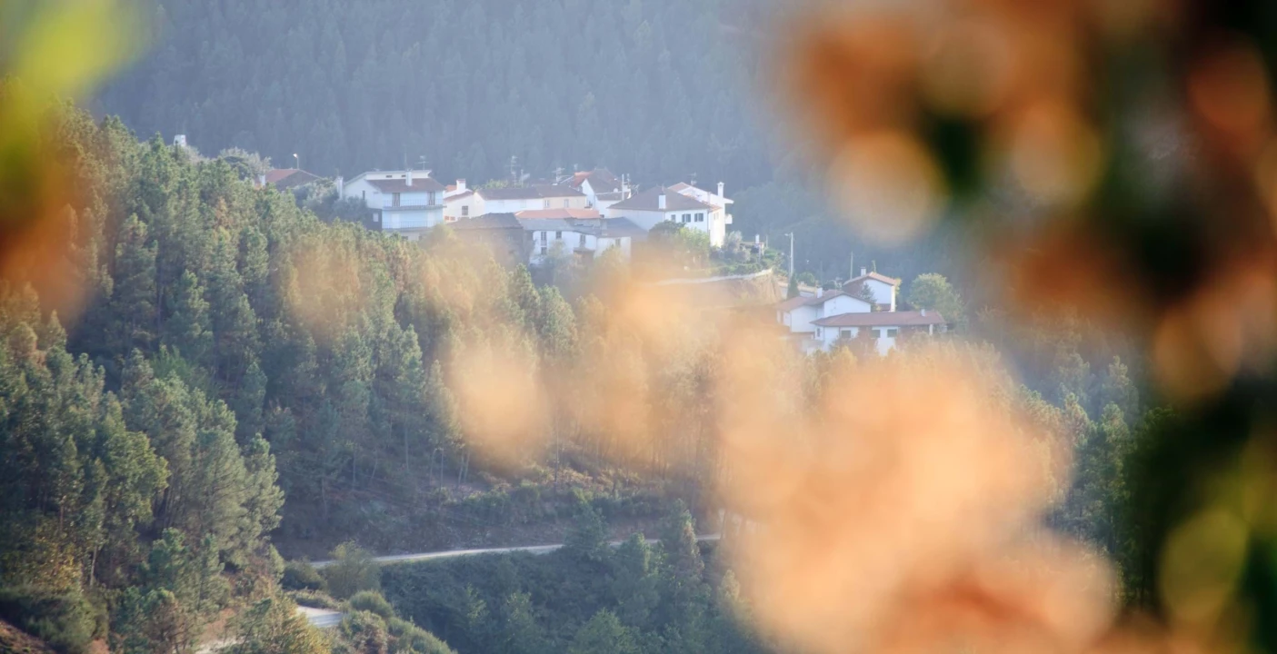 Quinta para Venda em Cerdeira e Moura da Serra Foto 110