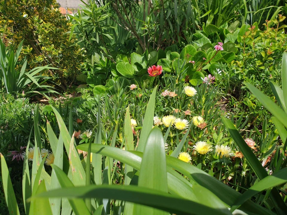 Quinta para Venda em Cerdeira e Moura da Serra Foto 80