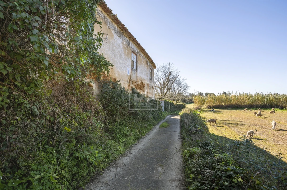 Quinta T5 para Venda em Cernache Foto 14