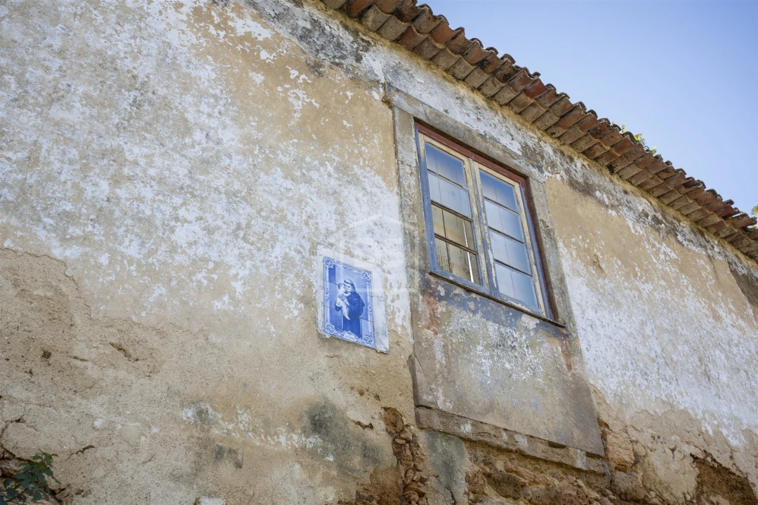 Quinta T5 para Venda em Cernache Foto 15