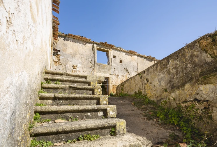 Quinta T5 para Venda em Cernache Foto 16
