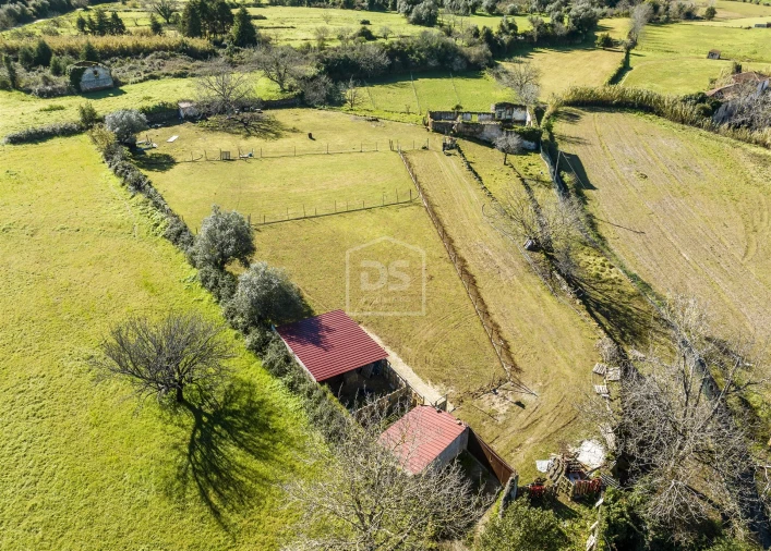 Quinta T5 para Venda em Cernache Foto 29