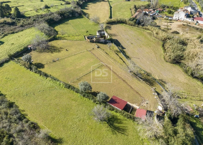 Quinta T5 para Venda em Cernache Foto 22