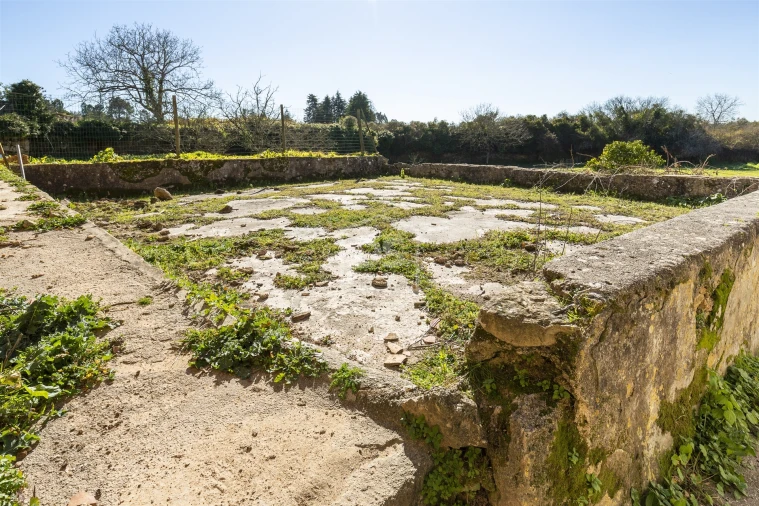 Quinta T5 para Venda em Cernache Foto 17