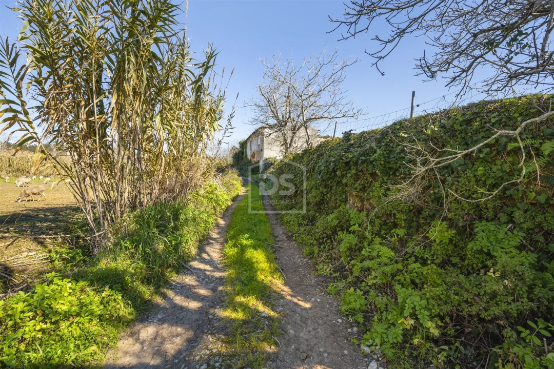 Quinta T5 para Venda em Cernache Foto 20