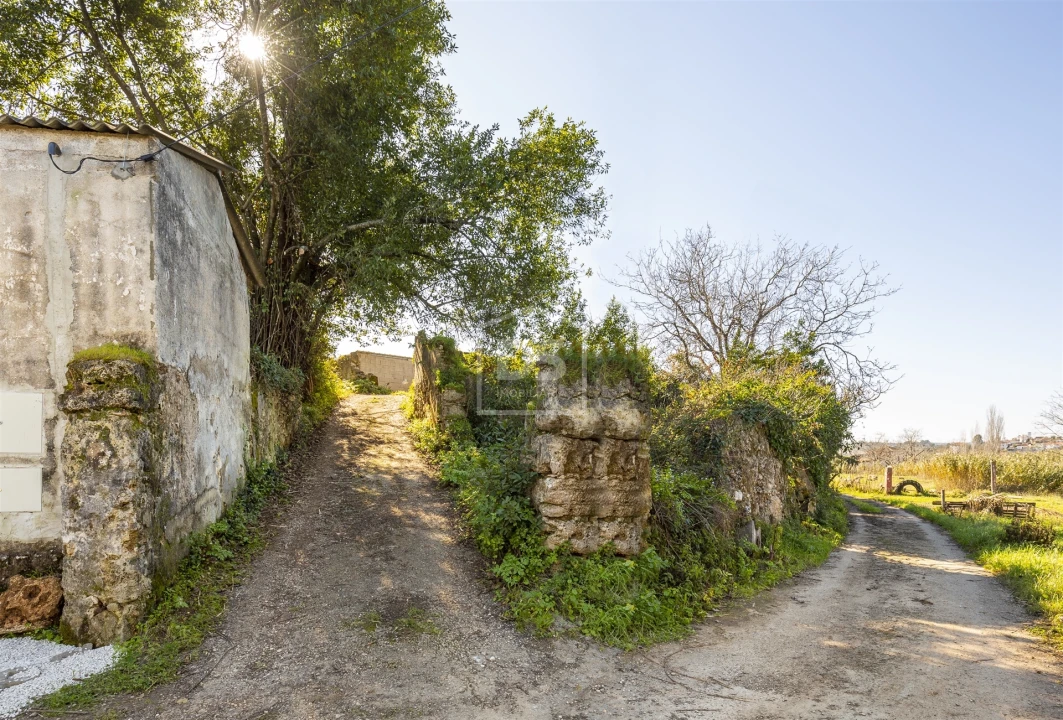 Quinta T5 para Venda em Cernache Foto 30
