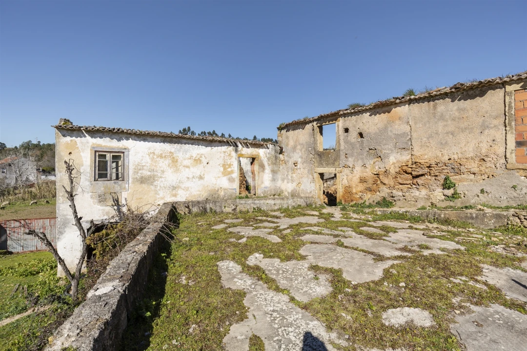 Quinta T5 para Venda em Cernache Foto 11