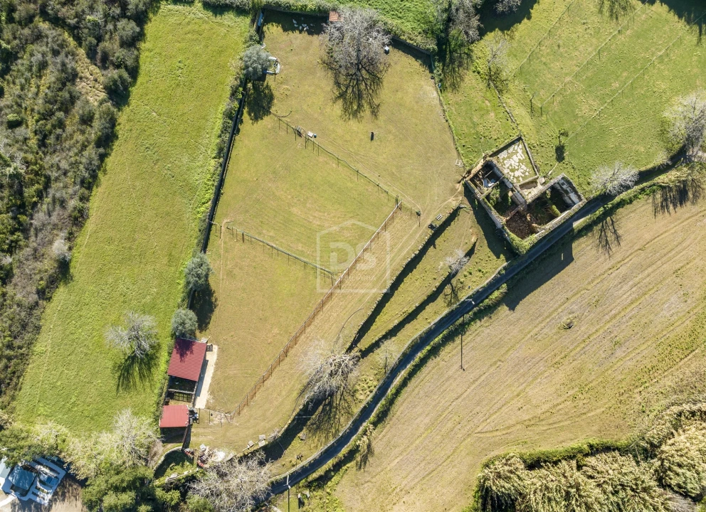 Quinta T5 para Venda em Cernache Foto 27