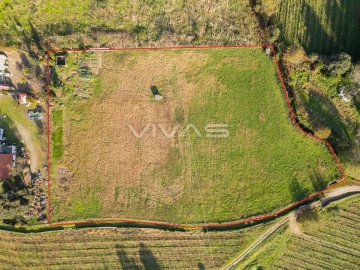 Terreno para Venda em Adaufe